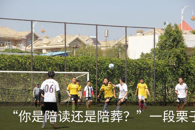 “你是陪读还是陪葬？”一段栗子爆炸视频，让家长被嘲低认知